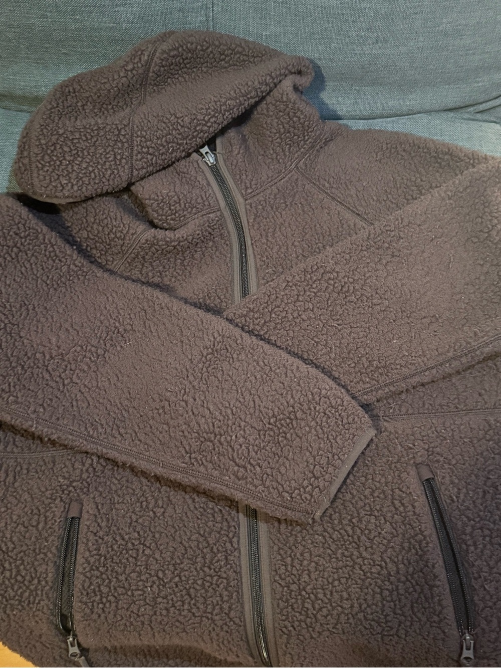 ARITZIA Polartec Thermal Pro Hi-Hip Zip Hoodie